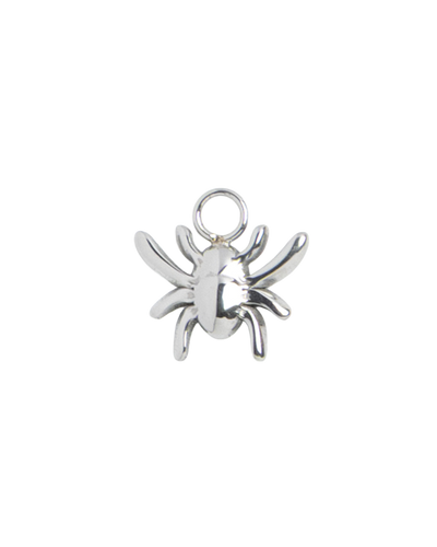 Silver Charm Spider