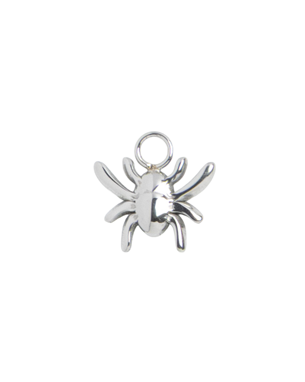 Silver Charm Spider