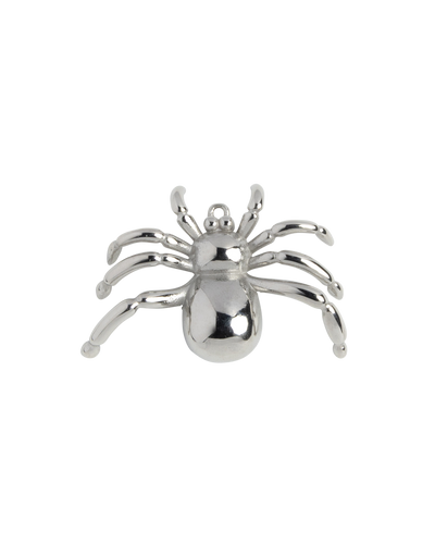 Silver Charm Flower Blossom