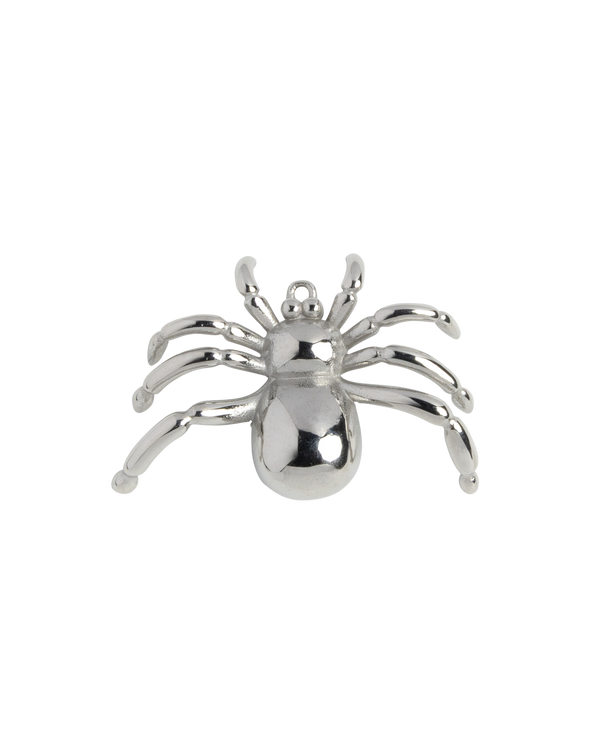 Silver Charm Flower Blossom