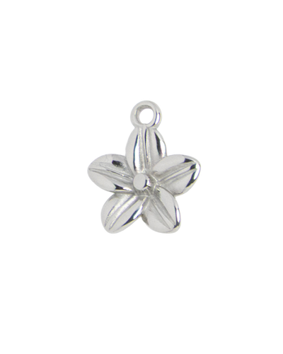 Silver Charm Flower Blossom