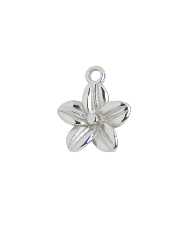 Silver Charm Flower Blossom