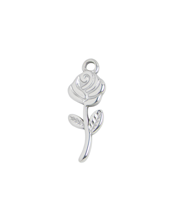 Silver Charm Rose