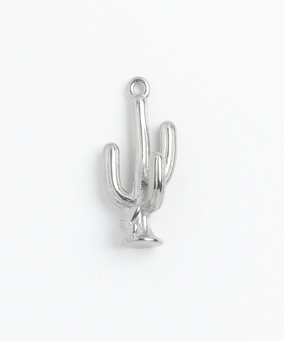 Silver Charm Cactus