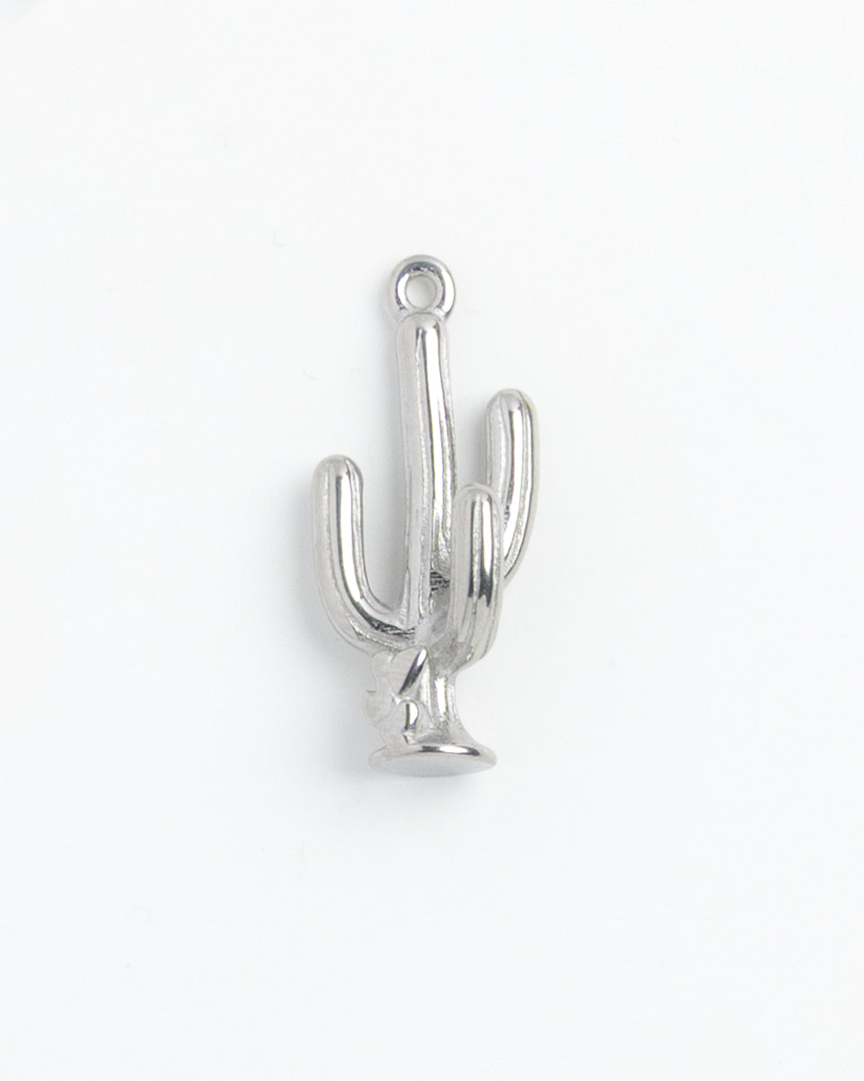 Silver Charm Cactus