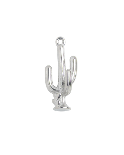 Silver Charm Cactus