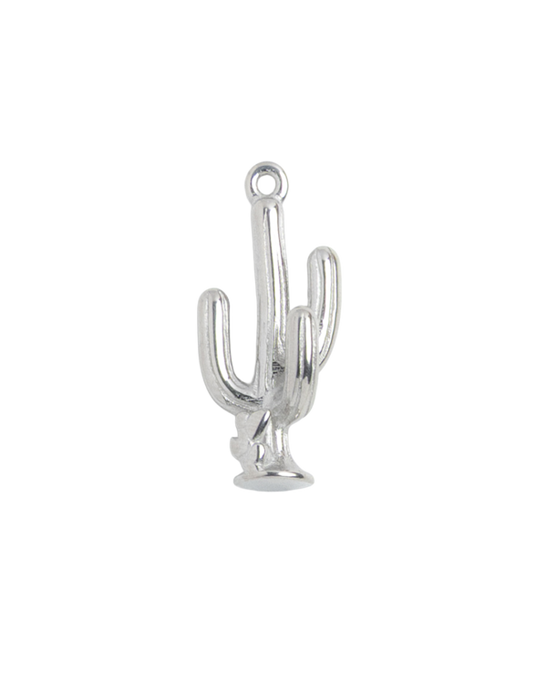 Silver Charm Cactus