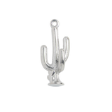 Silver Charm Cactus
