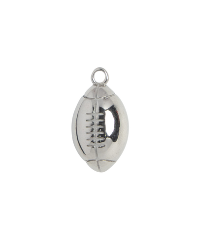 Silver Charm Daisy Flower