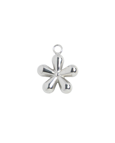 Silver Charm Daisy Flower