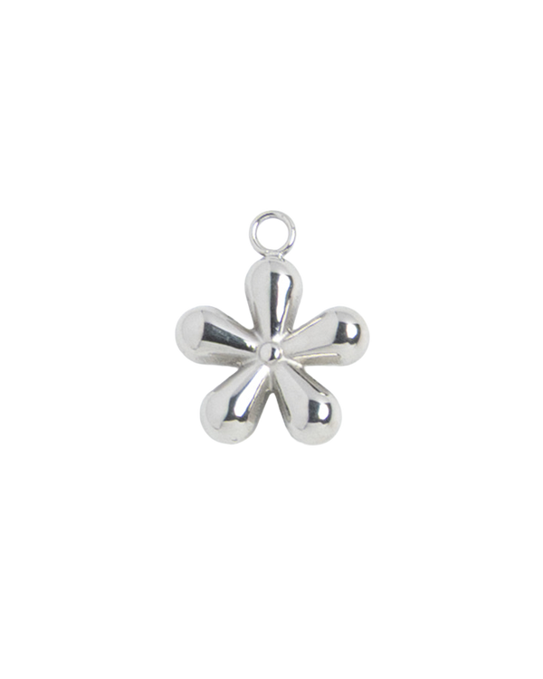 Silver Charm Daisy Flower