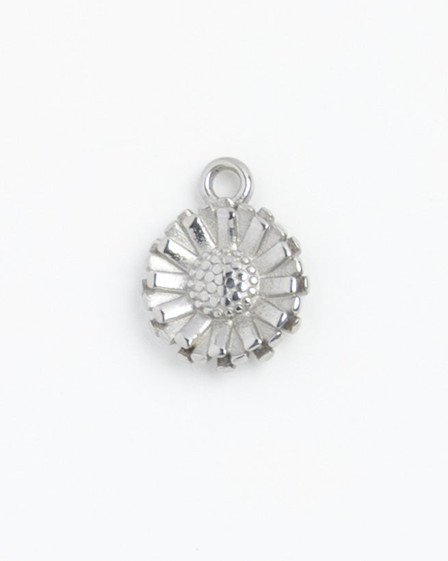 Silver Charm Sunflower