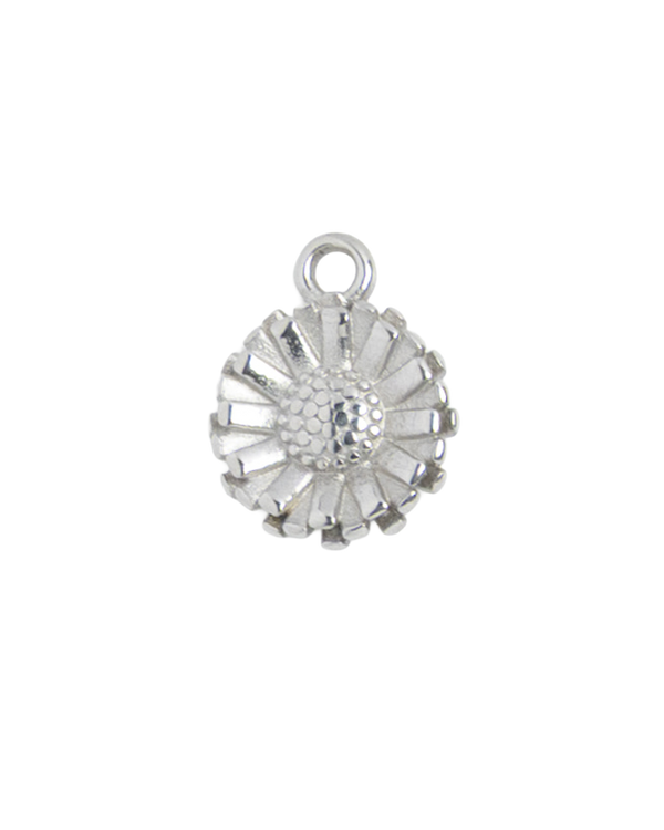 Silver Charm Sunflower