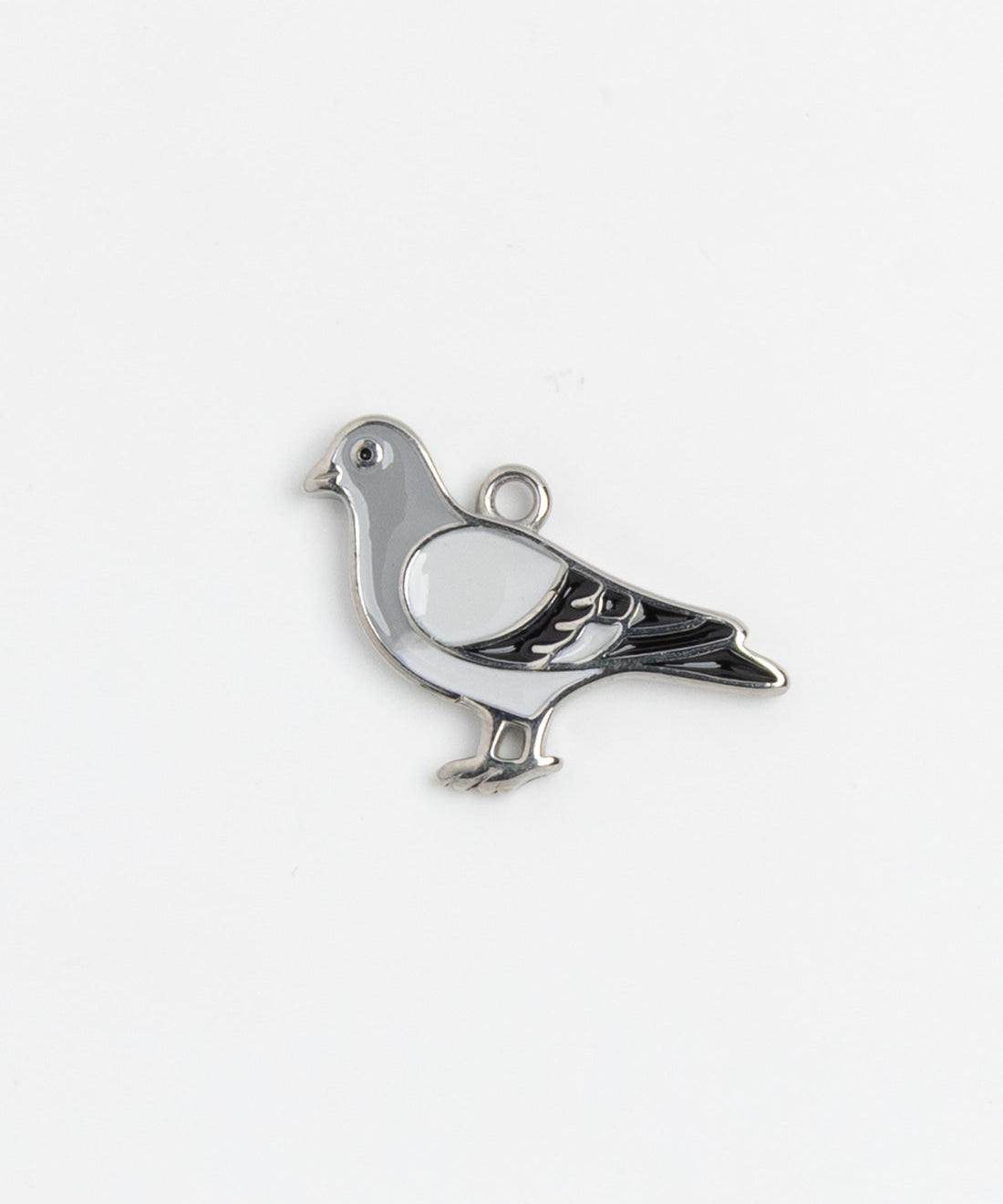 Silver Charm Pigeon