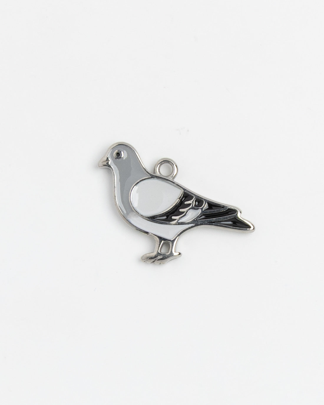 Silver Charm Pigeon