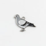 Silver Charm Pigeon