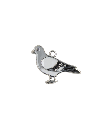 Silver Charm Pigeon