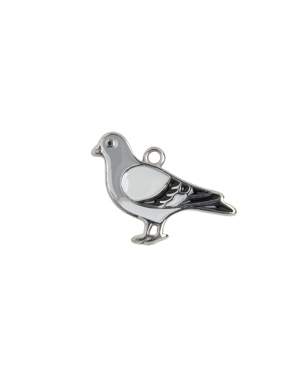 Silver Charm Pigeon