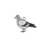 Silver Charm Pigeon