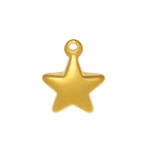 Gold star charm