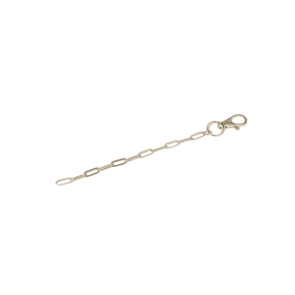Delicate KeyChain 4