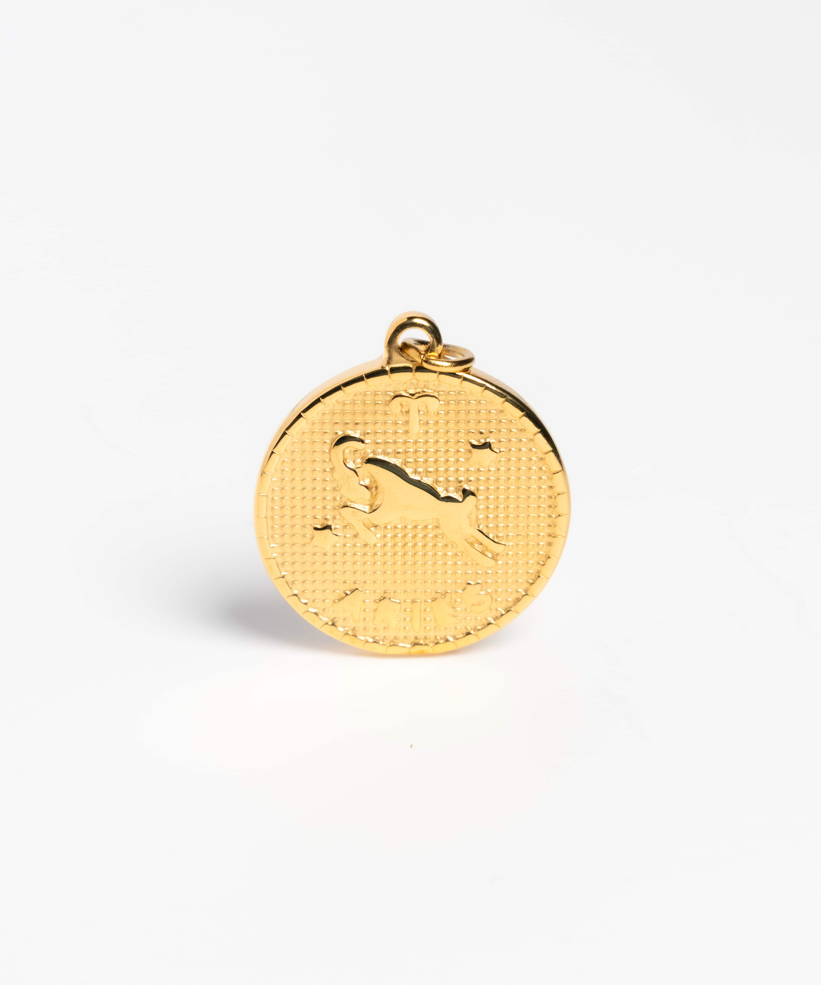 Gold Large Zodiac Pendant