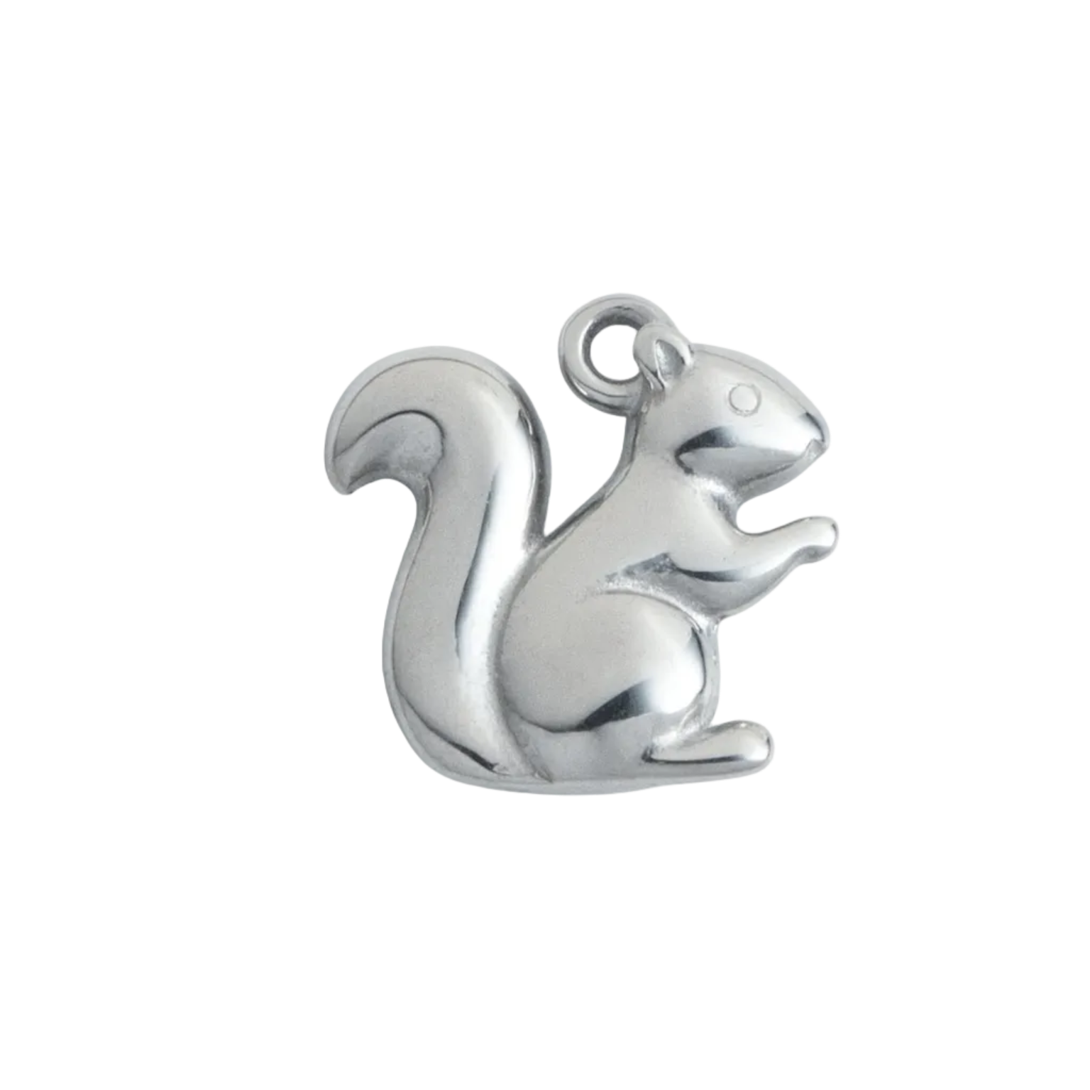 Silver Squirrel