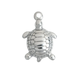 Silver Turtle