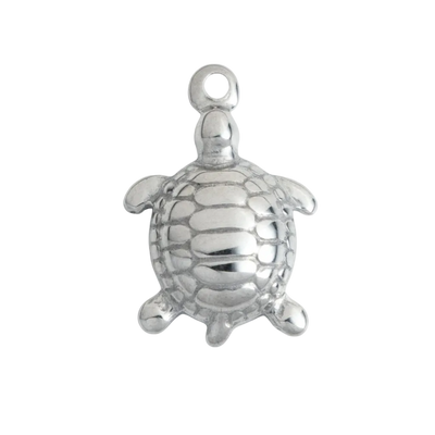 Silver Turtle
