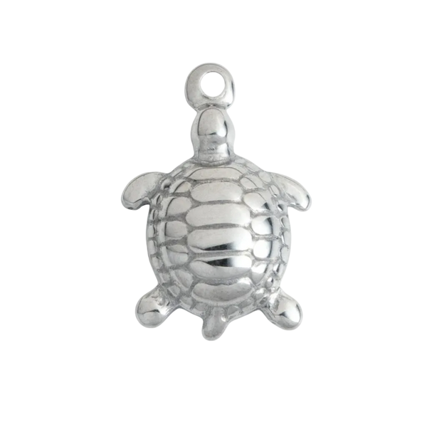 Silver Turtle