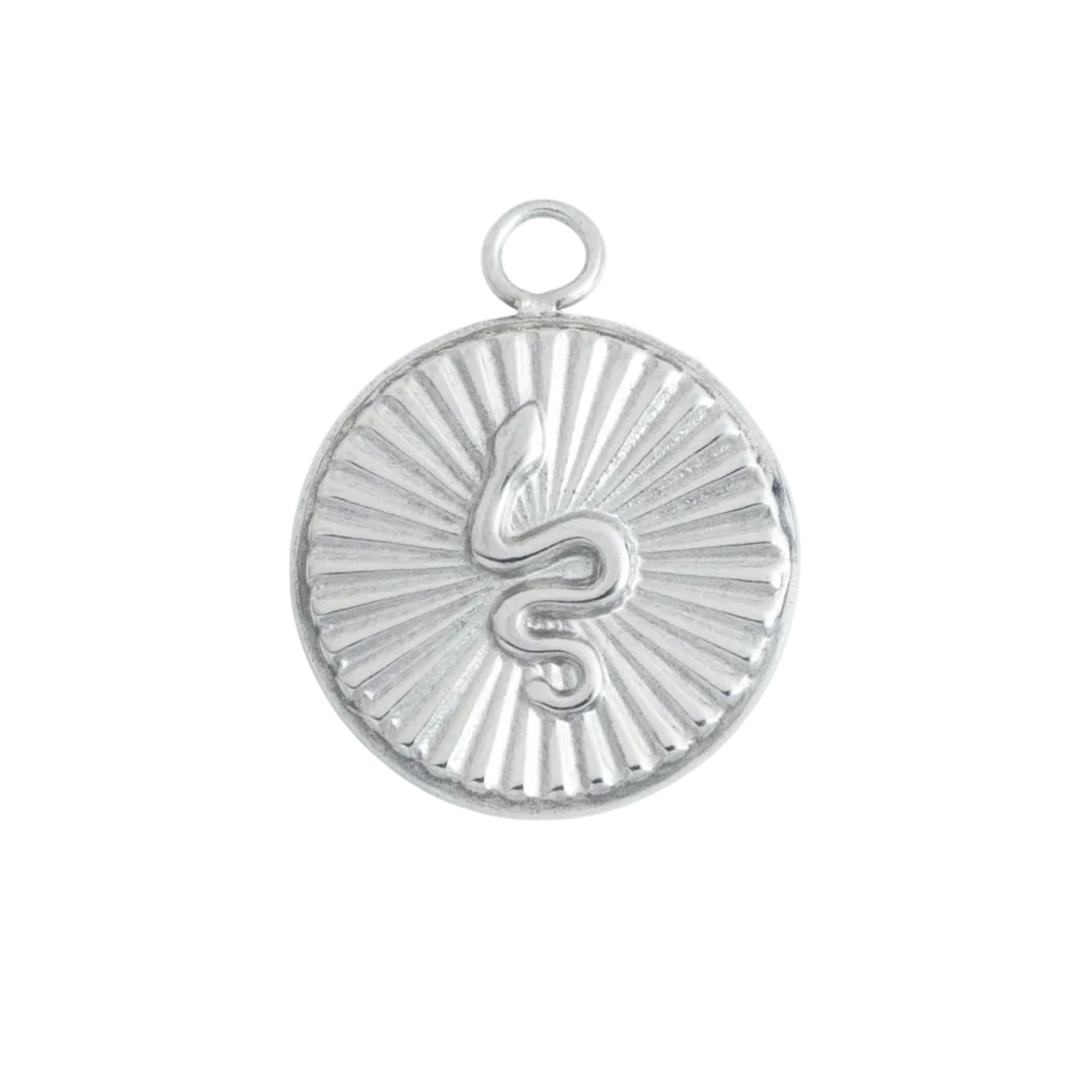 Silver Circle Snake