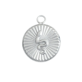 Silver Circle Snake