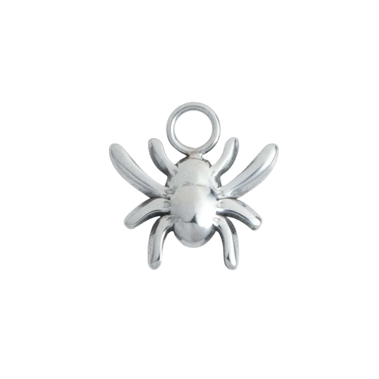 Silver Spider
