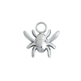 Silver Spider