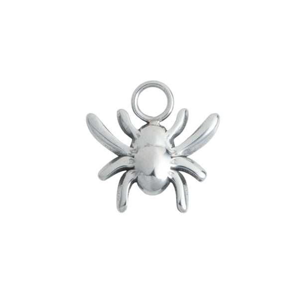 Silver Spider