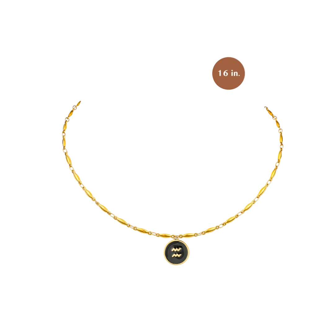 Black & Gold Aquarius Charm Necklace