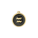 Black & Gold Aquarius