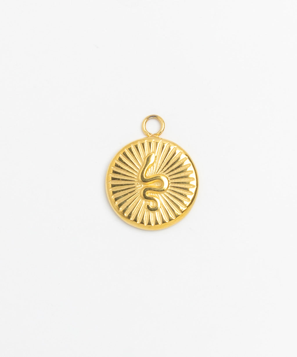 Gold Charm Ray Medallion