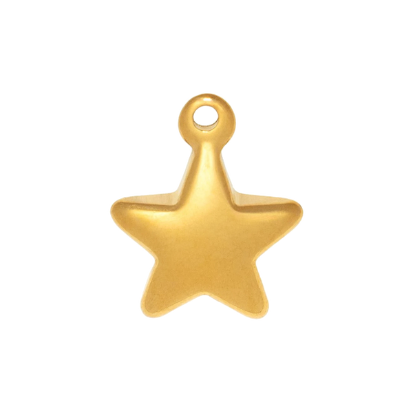 Gold Charm Star