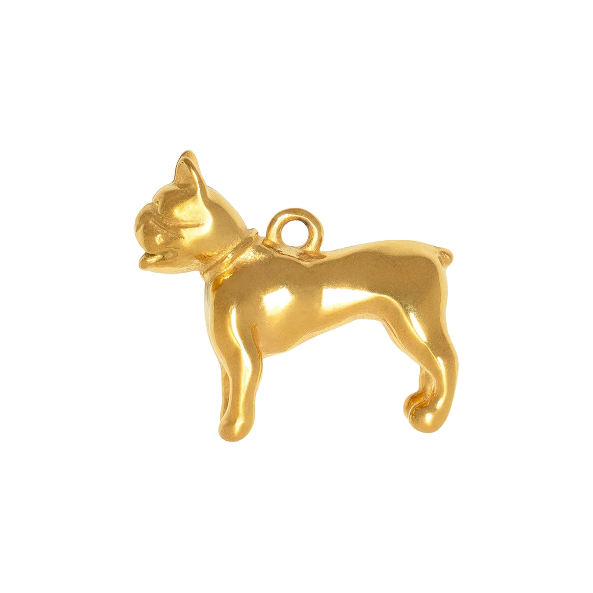 Charm CGM092