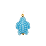 Charm CGM106