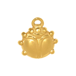 Charm CGM107