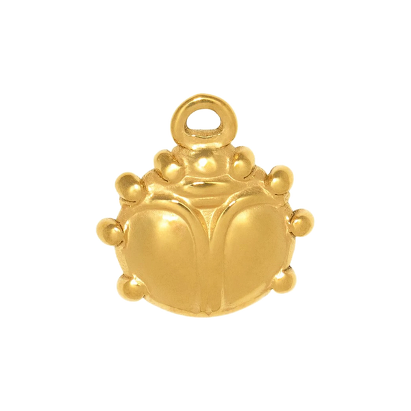 Gold Charm Beetle
