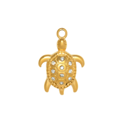 Charm CGM112