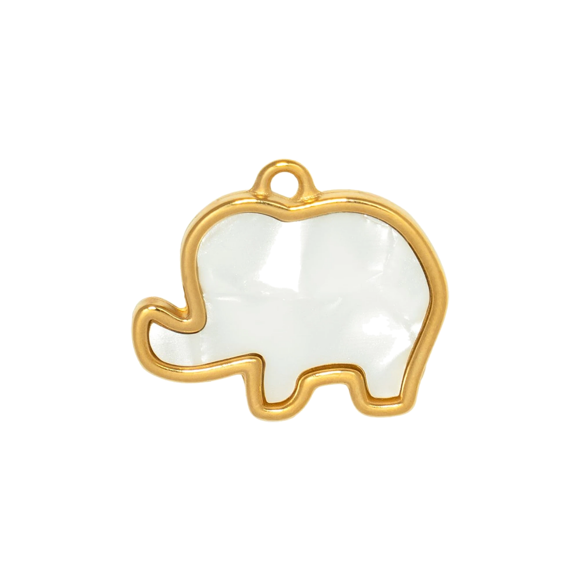 Charm CGM118