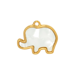 Charm CGM118