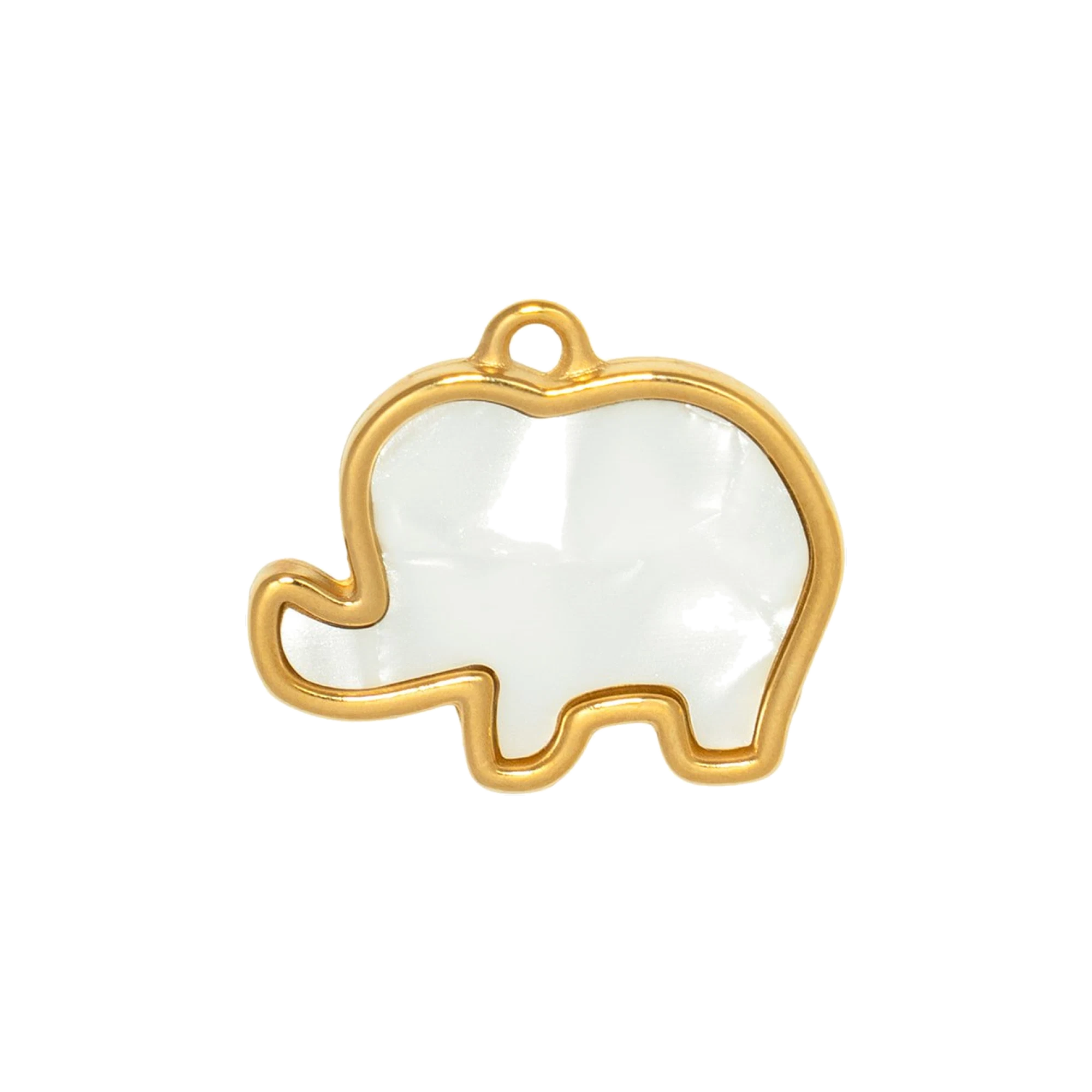 Charm CGM118
