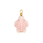 Charm CGM133