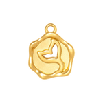 Charm CGM160