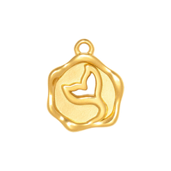 Charm CGM160